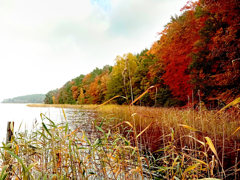 Flexslider_images/konzept_natur_neu/2021_paelitzsee_herbst1.jpg