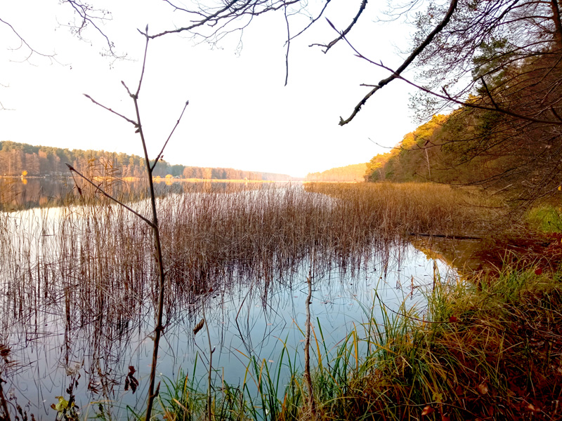Flexslider_images/konzept_natur_neu/2021_paelitzsee_herbst2.jpg