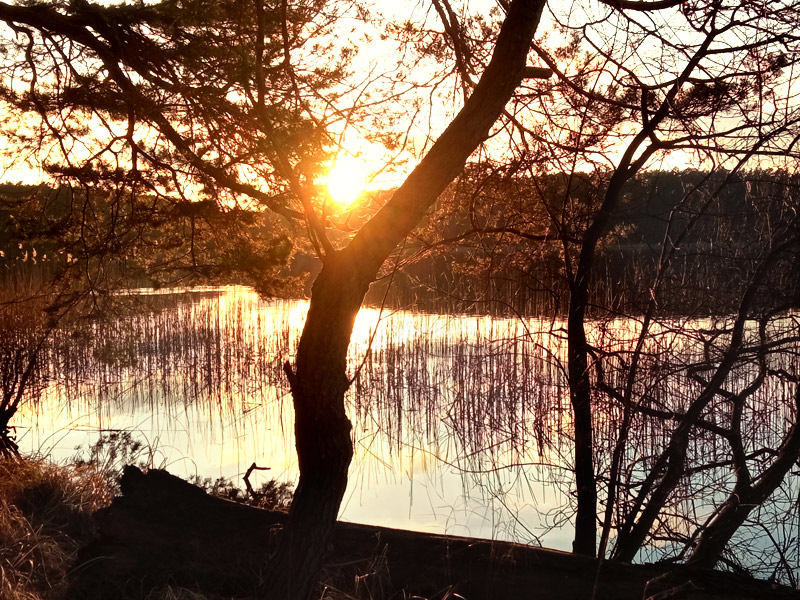 Flexslider_images/konzept_natur_neu/2022_ufer1_abensonne.jpg