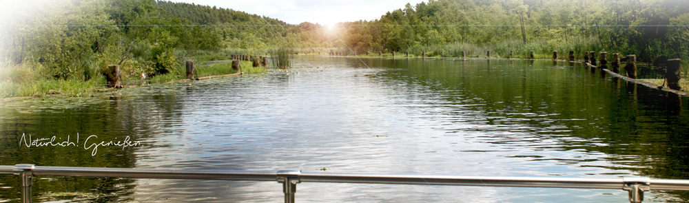 Das Revier Das Revier